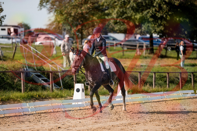 2026_10_03_Siefer-Hof_120142_Z63_34305686 | Professionelle Reitsport-, Turnier- und Eventfotografie von Robert Broda. Galerien mit ausgewählten und bearbeiteten Bildern direkt online ansehen und bestellen.