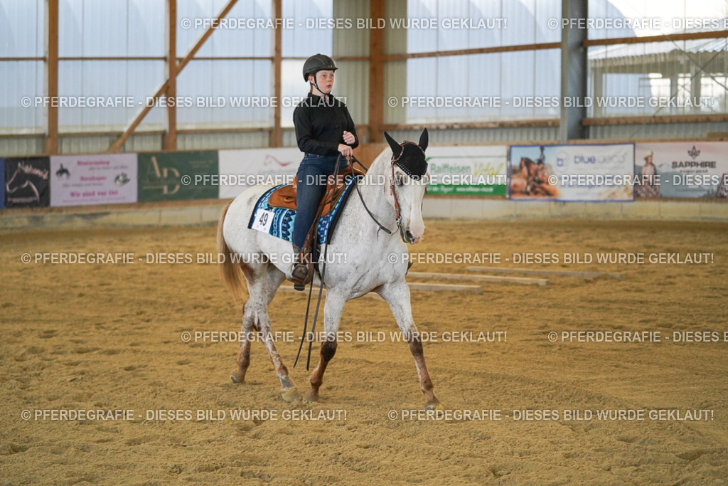 DSC09088 | Pferdegrafie