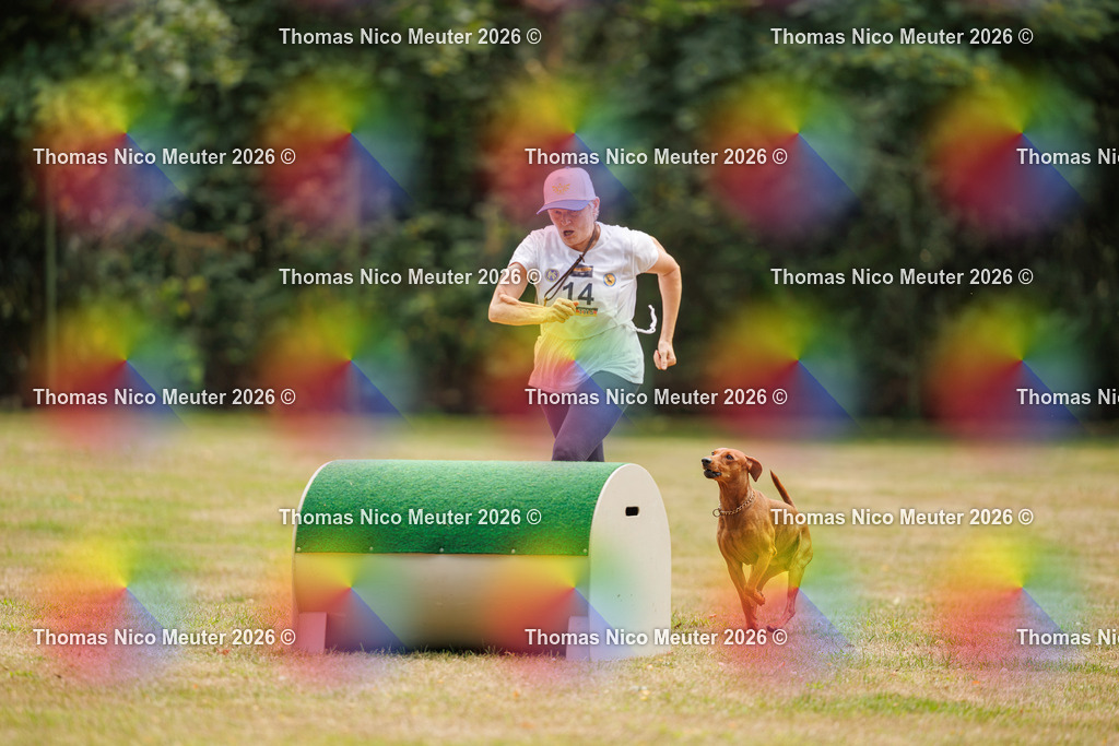 Thomas_Nico_Meuter(C)_22. August 2026_223A4602 | Bild von Thomas Nico Meuter - Realisiert mit Pictrs.com