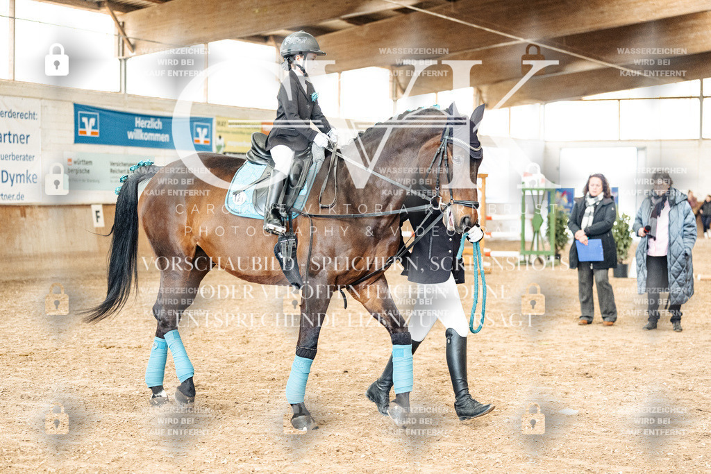 CK905874 | Turnierfotografie Pferdefotografie Trier Rheinland-Pfalz Pferdesport Reitsport Tierfotografie Sportfotografie Pferdevideo Pferdevideografie Equestrianvideography equestrianphotography  - Realized with Pictrs.com