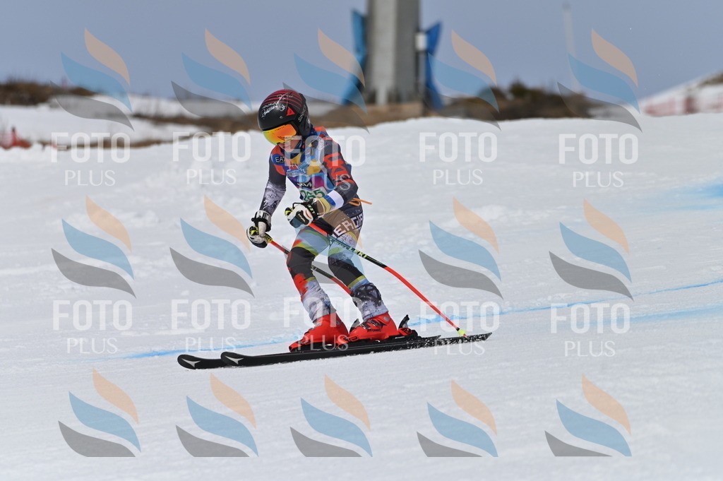 BGV_5264 | holidayphoto