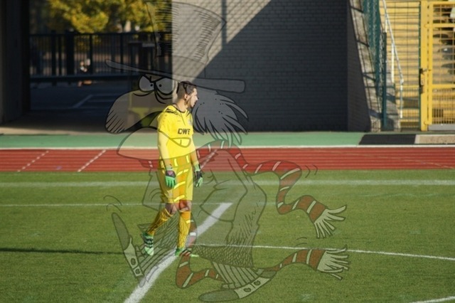 BFC Dynamo vs. FC Schönberg 95 071 | mythos-online-redaktion