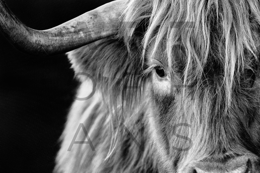 Ein Hans Fineart Original | Entdecke die Kunst von Hans Fineart - Fotografien für dein Zuhause. Verwandle deine Wände mit einzigartigen Kunstwerken und bringe die Schönheit der Welt in dein Leben. Bestelle jetzt und schaffe einen Ort der Inspiration und Eleganz.