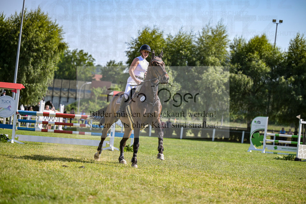 Reitturnier Voxtrup | Entdecke hochwertige Reitturnierfotos von Foto Oger. Professionell, emotional und authentisch – jetzt Lieblingsmomente im Shop bestellen.Deutschlandweite Turnierfotografie. - Realisiert mit Pictrs.com