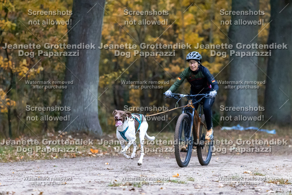 Dog Paparazzi - SD CaniX Championship 2025-44 | Dog Paparazzi Jeanette Grottendiek Fotografie & Videografie - Realisiert mit Pictrs.com