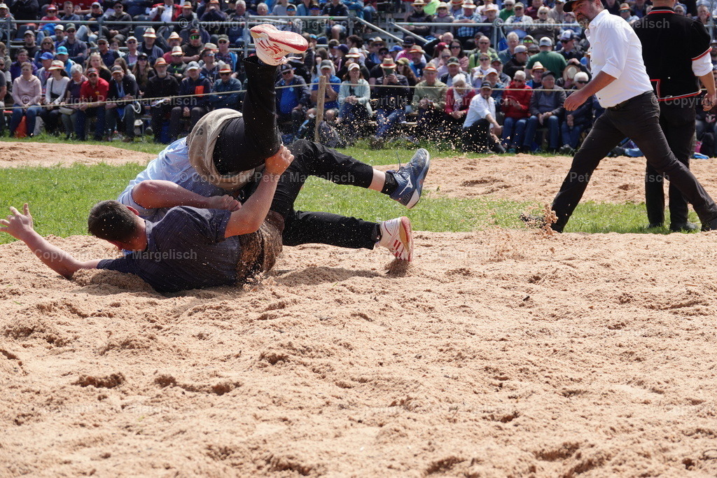 DSC00976 | Schwingen - Realisiert mit Pictrs.com