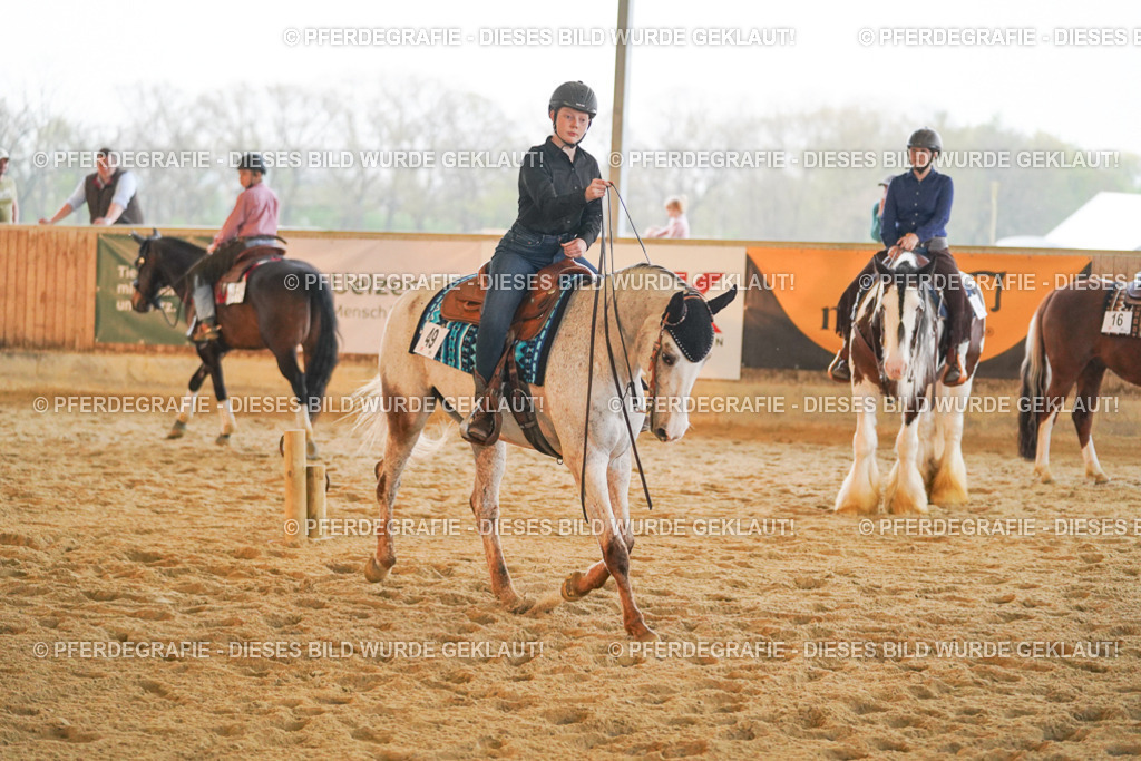 DSC09054 | Pferdegrafie