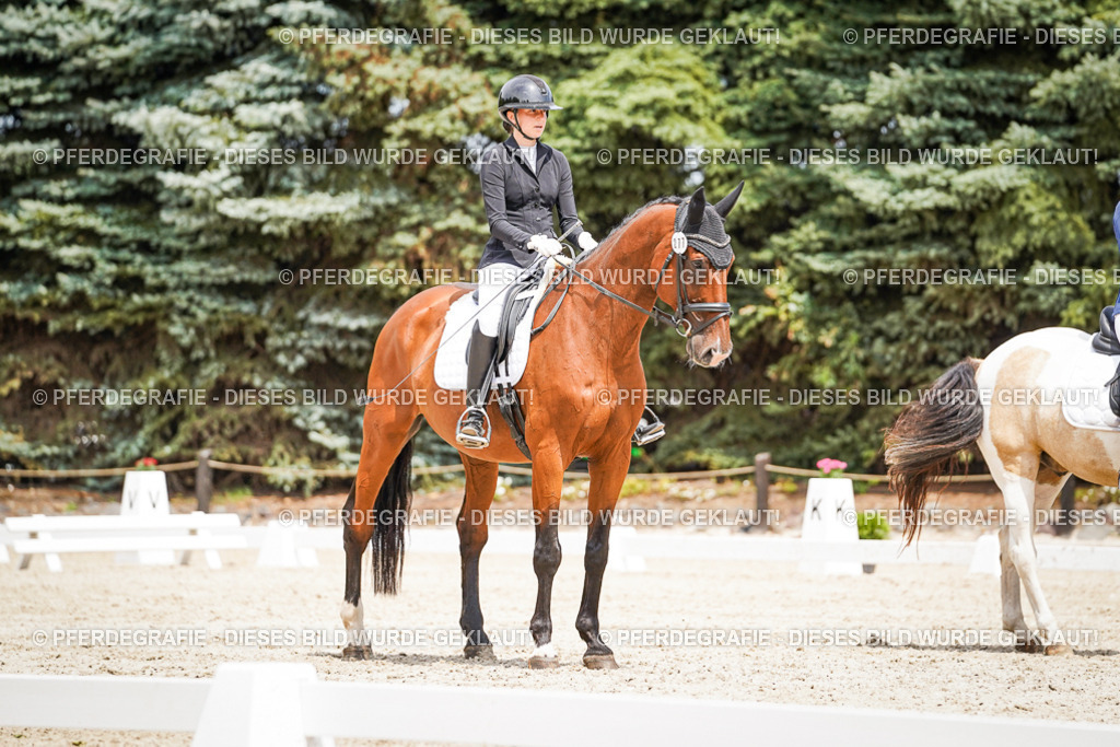 DSC03601 | Pferdegrafie