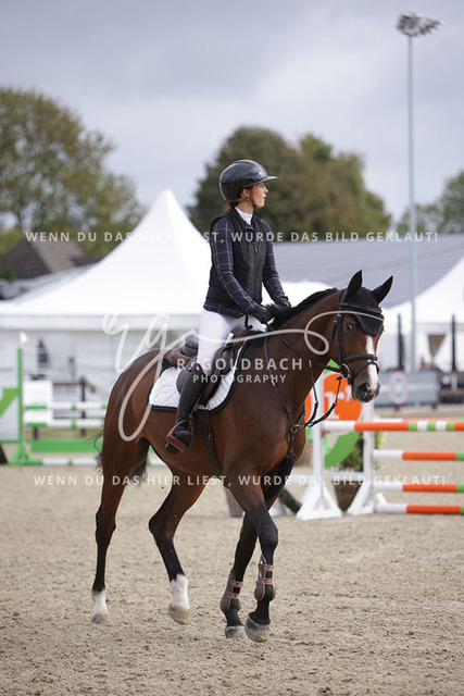 1J2A1783Antonia Selina Brinkop_ Con Calma 3_ Kn261_ Havekost | Foto- und Videografie für alles rund ums Pferd. Hochwertige Bilder und Videos vom Spring- und Dressurreiten, Voltigieren & mehr. Jetzt aktuelle Veranstaltungen und Preise im Shop ansehen. - Realisiert mit Pictrs.com