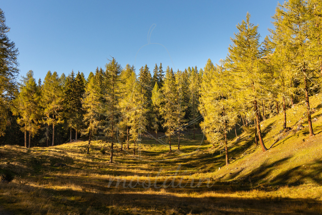 Herbst im Lungau | Ihre Fotografin im Lungau, ihre Fotografin im Mostviertel, Wandbilder Onlineshop, Imagefotos für Ihr Unternehmen,  - Realisiert mit Pictrs.com
