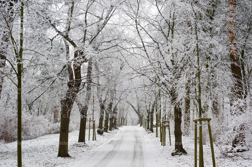00491-2114 - Spiegelsberge bei Halberstadt | Stockfoto und Bilderpool mit Bildmaterial aus Deutschland, dem Harz, Halberstadt, Quedlinburg, Wernigerode und weltweit. Qualitativ hochwertige und professionelle Fotos anschauen und kaufen. - Realisiert mit Pictrs.com