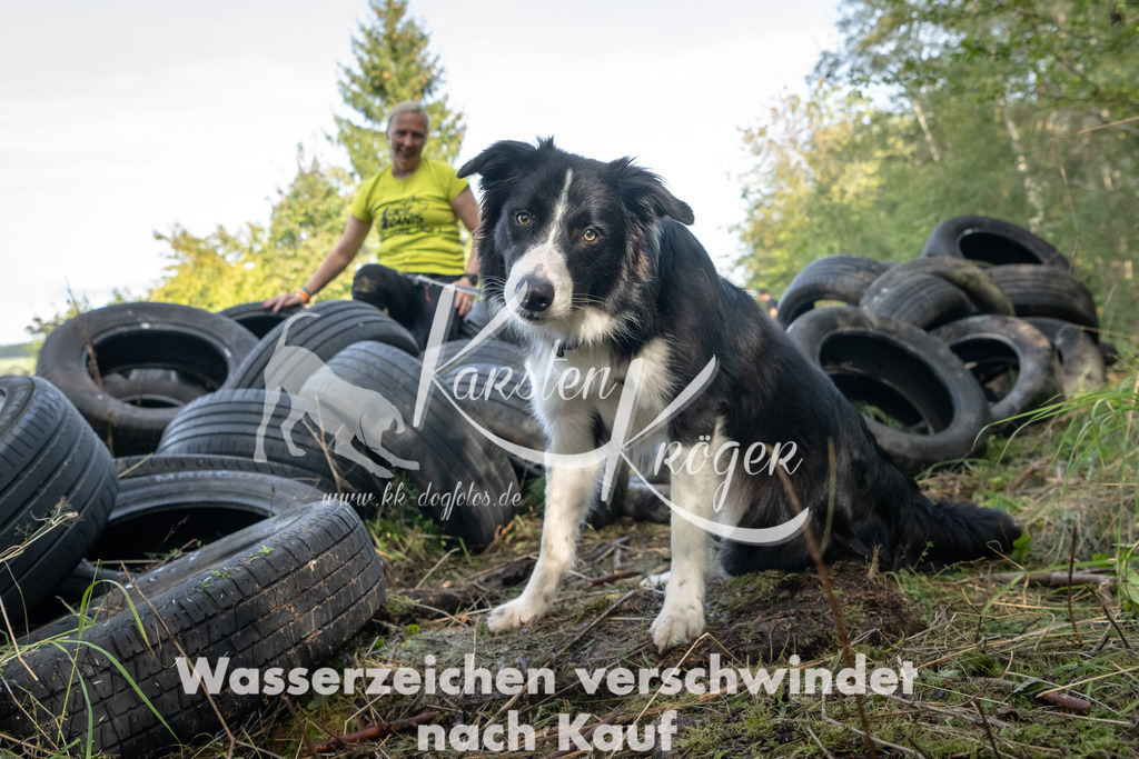 1538_ZZ91974 | kk-dogfotos