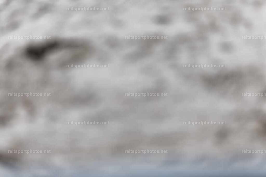 JoYaR3_Heidehof_00327 | JoYa Fotografie - Realisiert mit Pictrs.com