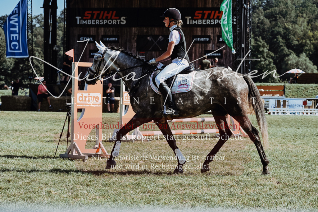 DSC_6556 | Pferde- und Turnierfotografie in Westsachsen. Pferdeportraits, Auftragszeichnungen und intuitive Kunst.