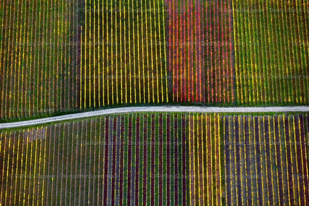 3905496 | Weinberge am Busigberg Großheubach