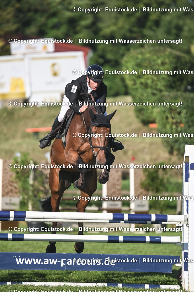 20230908_14-15_Springpferde-A_0028 | equistock