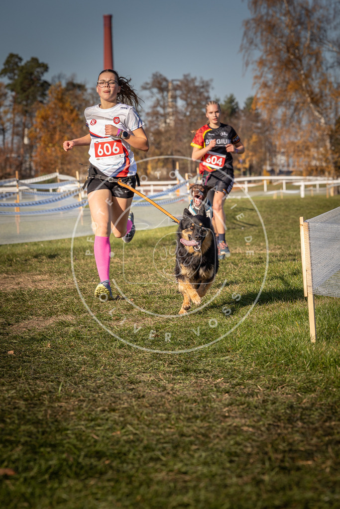CaniXpix_0L8A8578 | Hundefotografie, Tierfotograf, Pfotenfotografie, Fotoshooting Hund, Hunde Portrait, Hundesport, Hundeportraits, Heideshooting, Hunde, Sportfotograf, Hundefotograf, Turnierhundsport, THS,  - Realisiert mit Pictrs.com