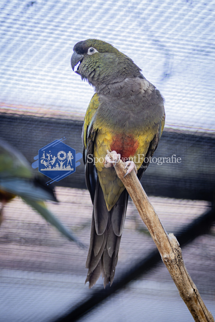 IMG_6889 | SportEventFotografie - Roman Stoiber