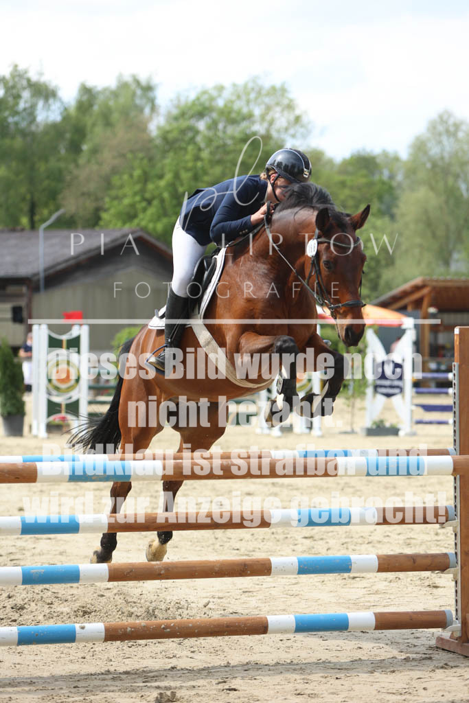 IMGM5898 | pl-fotografie