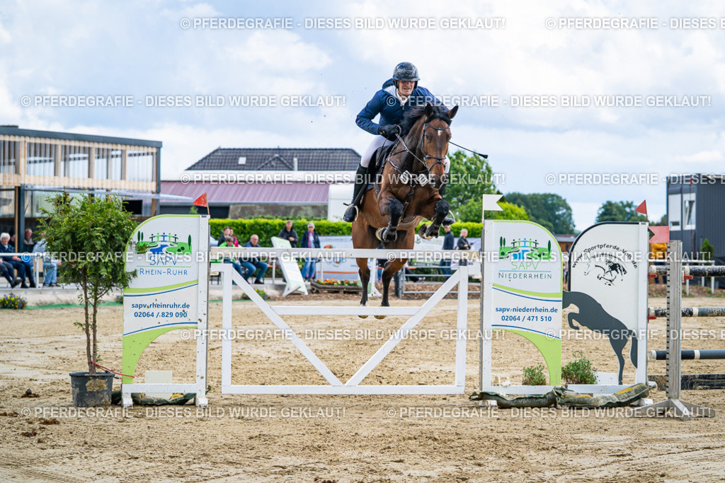 DSC05870 | Pferdegrafie