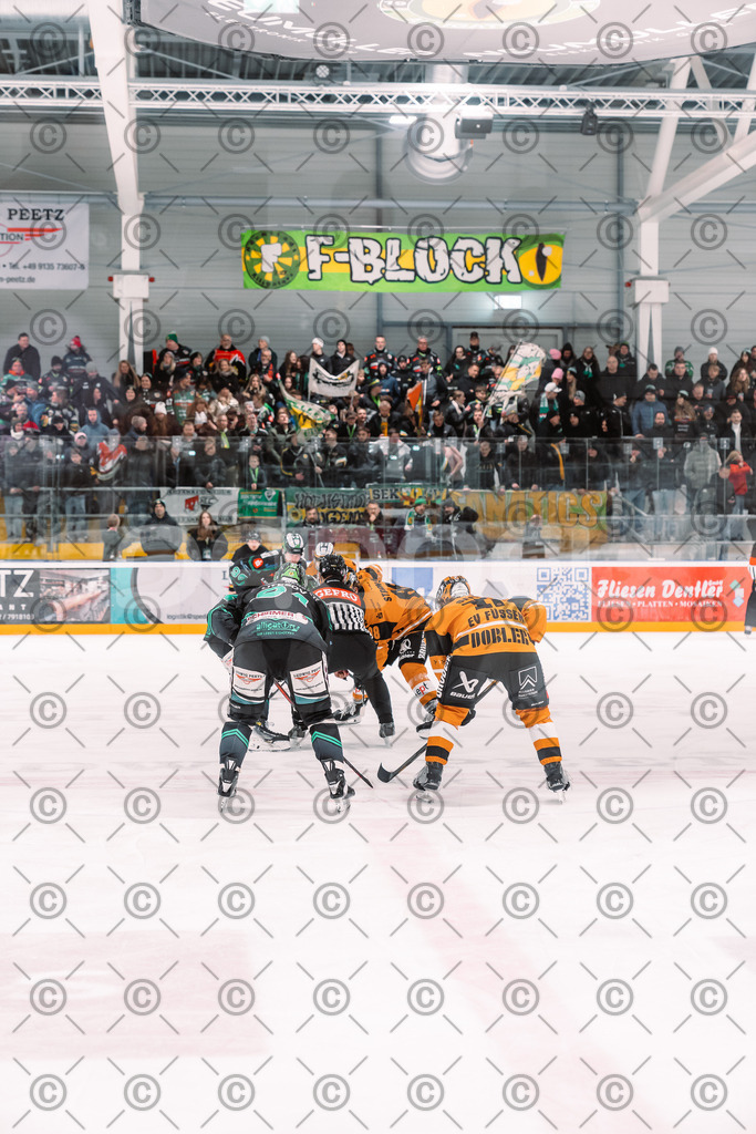 Alligators_vs_Fuessen_21.11.2025-038 | Höchstadt Alligators Fotogalerie: Eishockey-Action aus Franken. Professionelle Spielfotos, Portraits & Stadionbilder zum Download. Jetzt entdecken! - Realisiert mit Pictrs.com