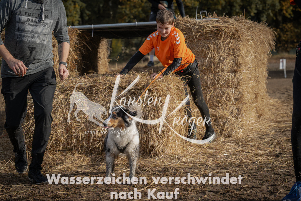 1032_ZZ98605 | kk-dogfotos