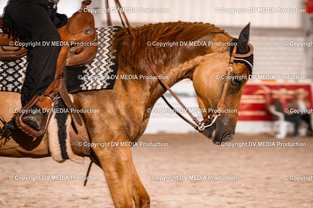 ZH200612 | dv-media-shop - Realisiert mit Pictrs.com