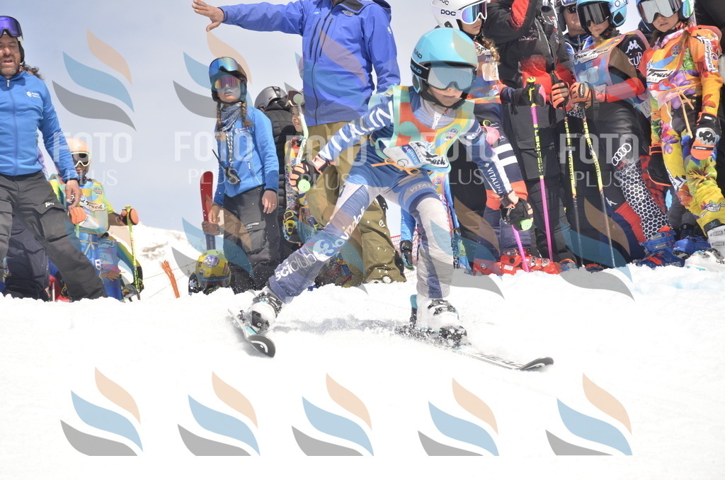 _ELE8516 | holidayphoto