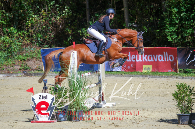 DKP43140 | Deine Turnierfotos vom Reitturnier online kaufen: Dressur, Springen & Siegerehrung. Professionelle Pferdefotografie aus dem Rheinland – als Download & Print.Alternative: Turnierfotograf für den Pferdesport: Finde deine Fotos von Dressur- und Springturnier
