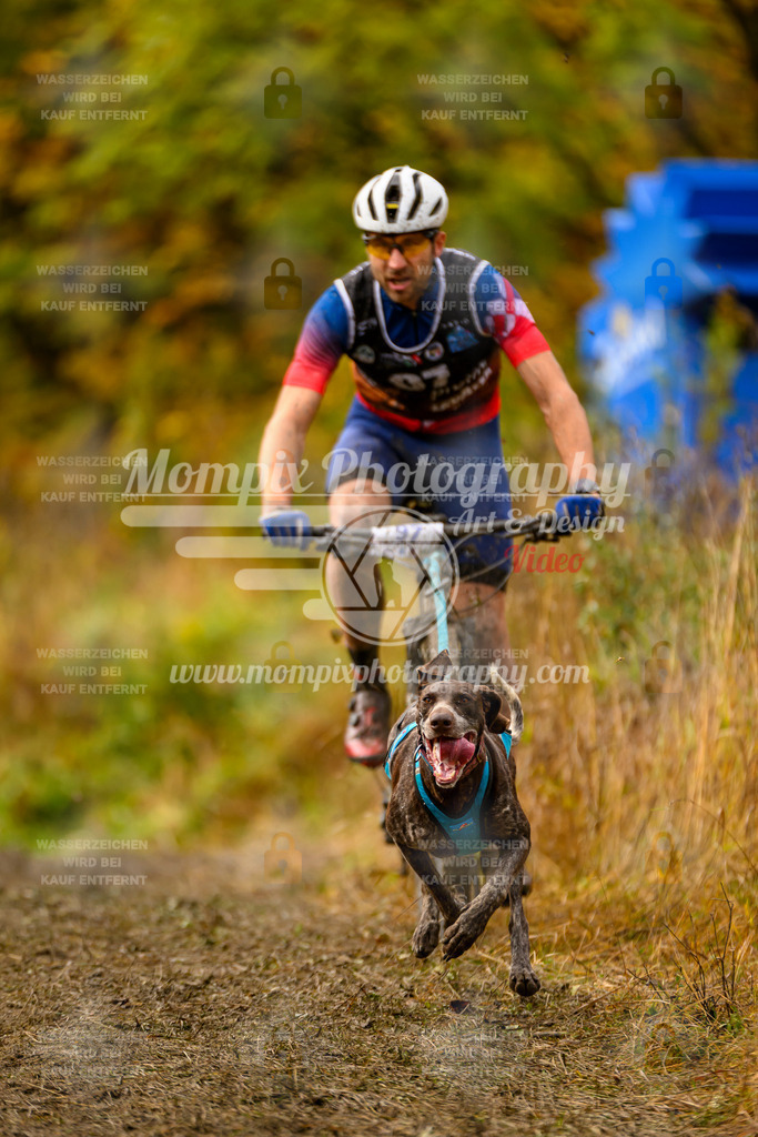 MompixPhotography_ICF_WC_2024_SA_Bike_-48 | PayLife