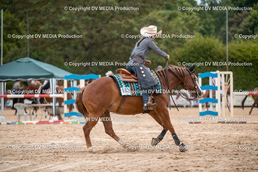 ZS2_8543 | dv-media-shop - Realisiert mit Pictrs.com