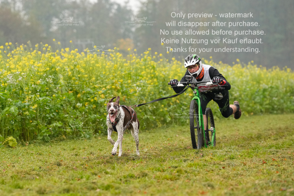 Visbeck_Sa_Scooter_Hc-29 | stephaniefillaphotographie - Realisiert mit Pictrs.com