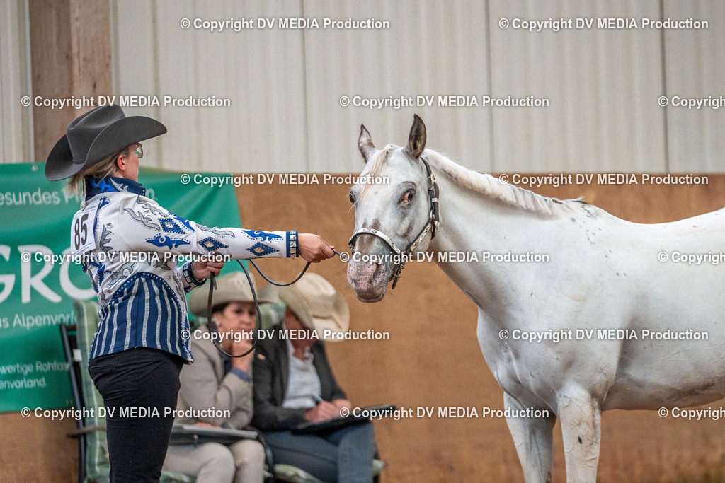 Neckargemünd Tag 1-059 | dv-media-shop - Realisiert mit Pictrs.com