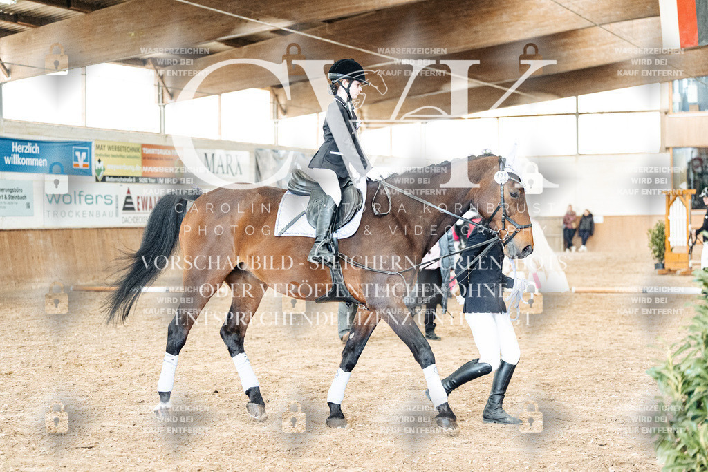 CK905892 | Turnierfotografie Pferdefotografie Trier Rheinland-Pfalz Pferdesport Reitsport Tierfotografie Sportfotografie Pferdevideo Pferdevideografie Equestrianvideography equestrianphotography  - Realized with Pictrs.com