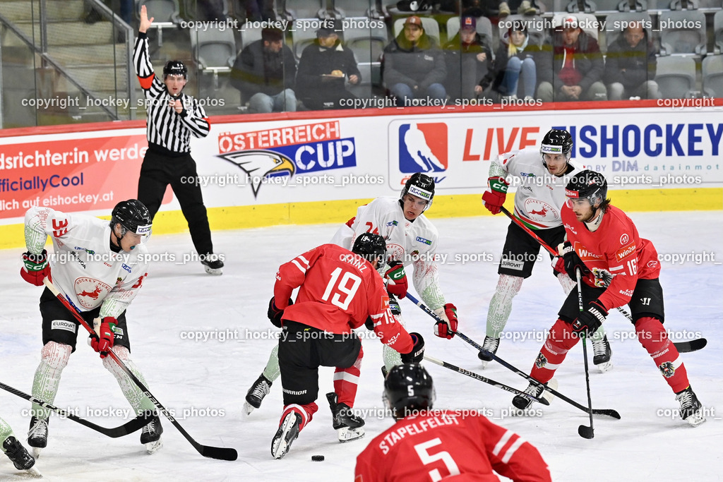 Österreich vs. Ungarn 14.12.2023 | Österreich vs. Ungarn 14.12.2023, Österreich vs. Ungarn  am 14.12.2023 in Klagenfurt (Heidi Horten Arena), Austria, (Photo by Bernd Stefan)
