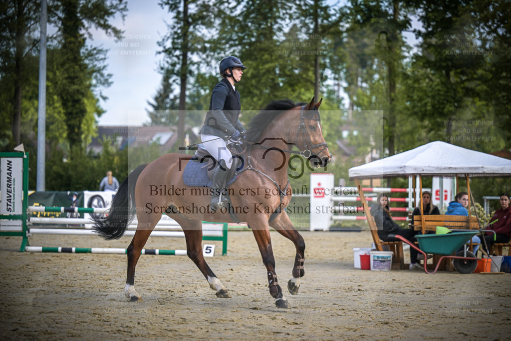 DOS_3822 | Entdecke hochwertige Reitturnierfotos von Foto Oger. Professionell, emotional und authentisch – jetzt Lieblingsmomente im Shop bestellen. - Realisiert mit Pictrs.com