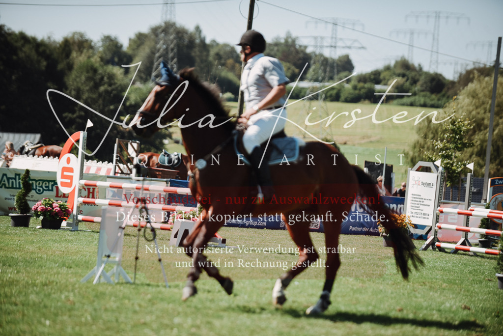 DSC_3288 | Pferde- und Turnierfotografie in Westsachsen. Pferdeportraits, Auftragszeichnungen und intuitive Kunst.