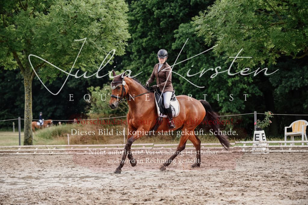 DSC_9531 | Pferde- und Turnierfotografie in Westsachsen. Pferdeportraits, Auftragszeichnungen und intuitive Kunst.