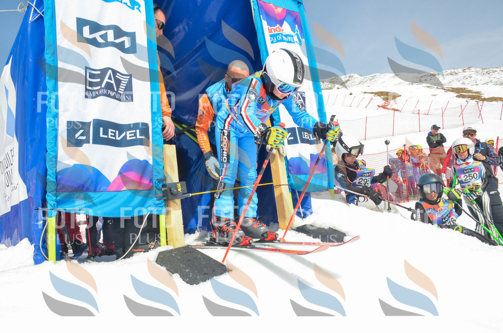 _ELE7157 | holidayphoto