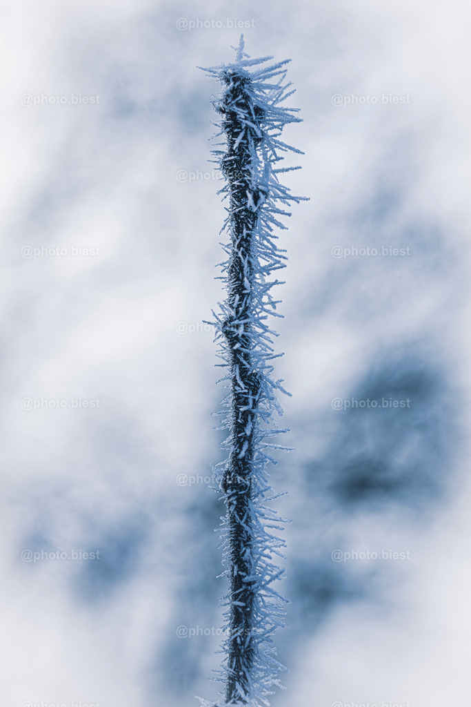 IMGC7847 | photobiest - Realisiert mit Pictrs.com