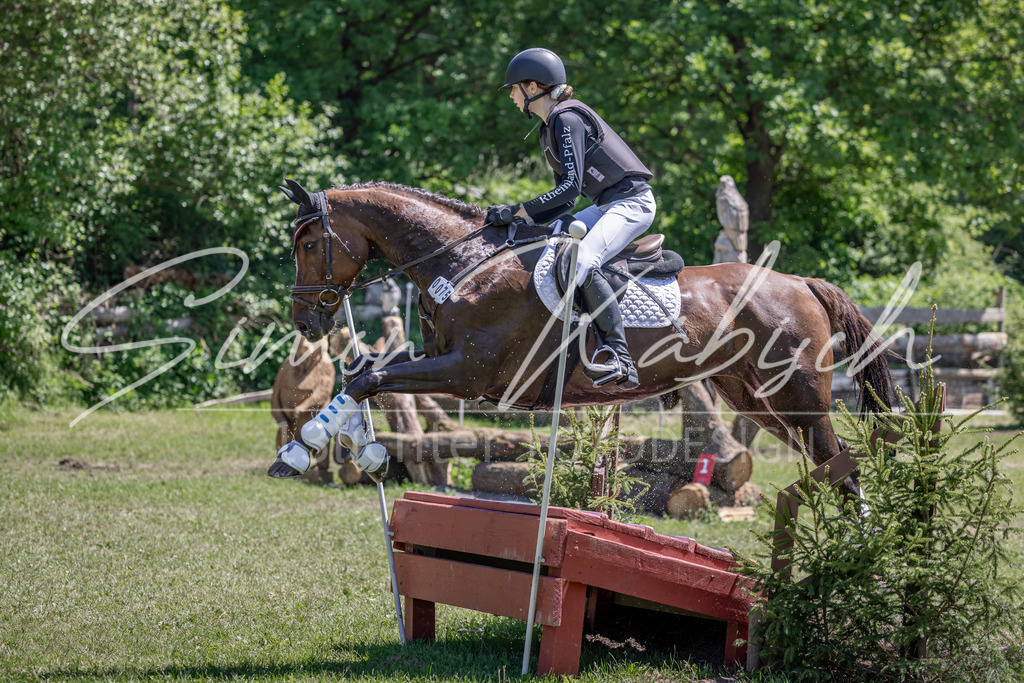 20260523-_3LI8665 | Tierfotografie Pferde, Hunde, Katzen, Haustiere.
Turnierfotografie Reitturniere, Reiten, Springreiten, Dressur in Hanau, dem Main-Kinzig-Kreis und dem Rhein-Main- Gebiet um Frankfurt