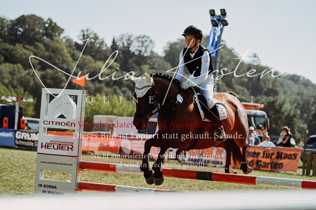 DSC_6618 | Pferde- und Turnierfotografie in Westsachsen. Pferdeportraits, Auftragszeichnungen und intuitive Kunst.