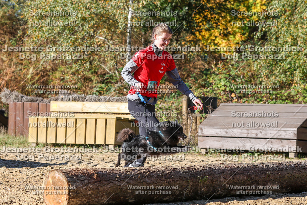 Dog Paparazzi - Strongdog 10-25-2514 | Dog Paparazzi Jeanette Grottendiek Fotografie & Videografie - Realisiert mit Pictrs.com