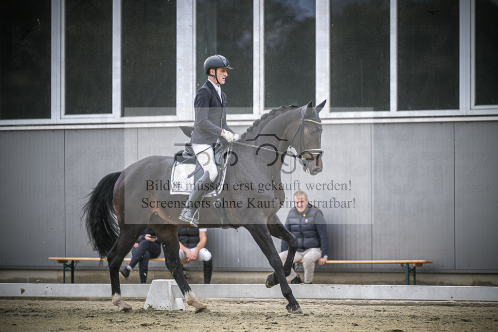 DOS_0833 | Entdecke hochwertige Reitturnierfotos von Foto Oger. Professionell, emotional und authentisch – jetzt Lieblingsmomente im Shop bestellen.Deutschlandweite Turnierfotografie. - Realisiert mit Pictrs.com