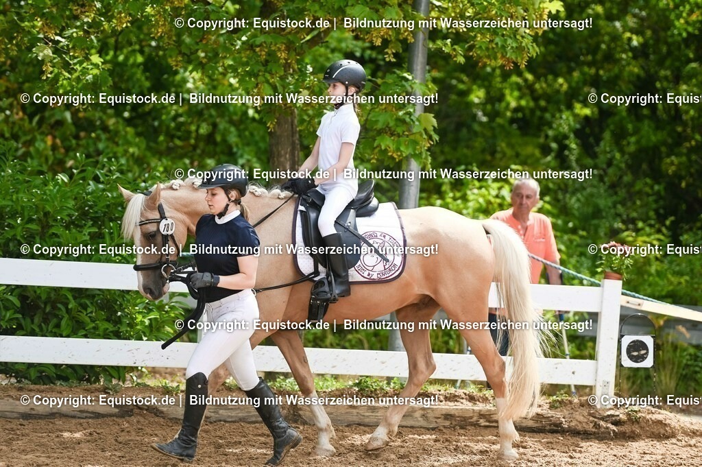 20230716_11_Führzügel-WB_0081 | equistock