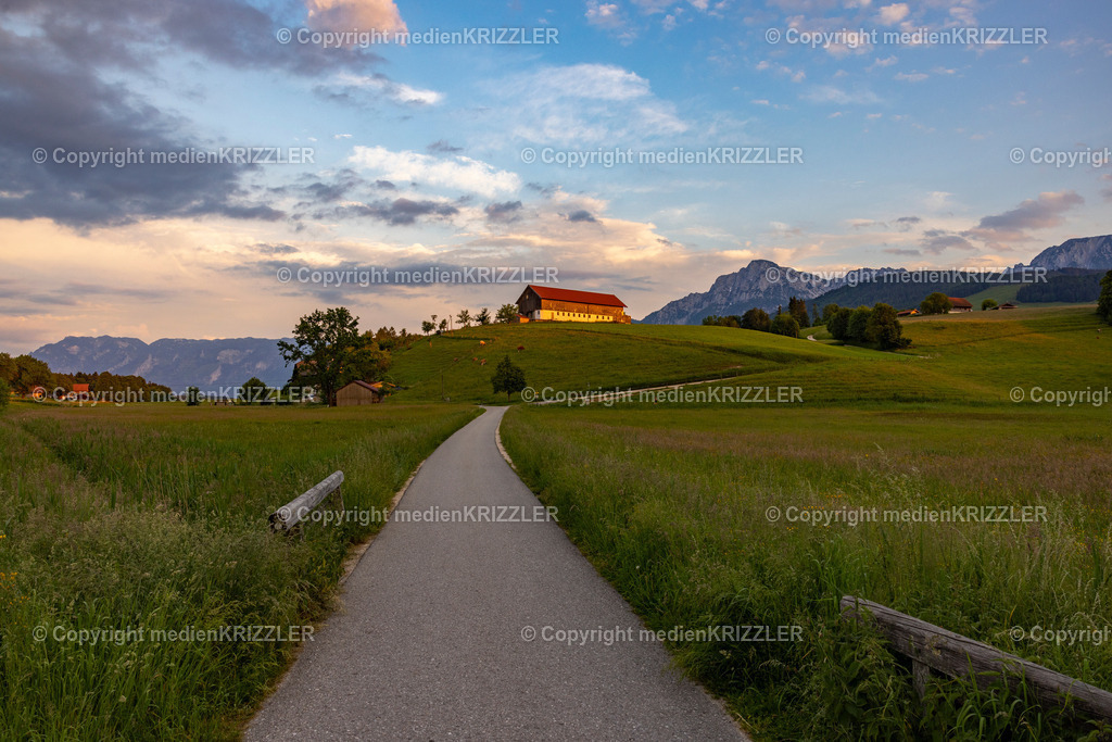 Höglwörther See | medienkrizzler - Realisiert mit Pictrs.com
