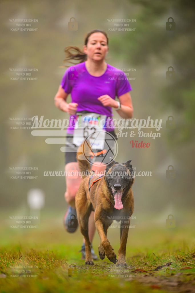 MompixPhotography_Bischwiller2025_Canicross-82 | mompixphotography