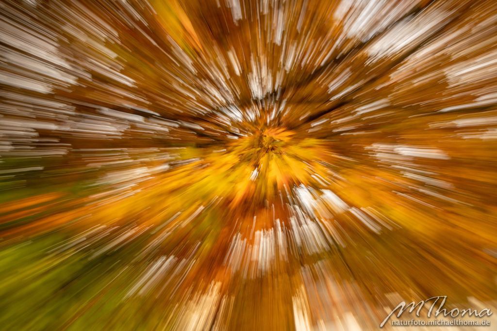 Zoomeffekt mit Herbstlaub | Dies ist der Online-Shop von naturfoto.michaelthoma.de. Ich bin leidenschaftlicher Naturfotograf und fotografiere von der Andromedagalaxie bis zum Zwergtaucher, von der Ameise bis zum Orionnebel alles was mit Natur zu tun hat. Hier kann eine Auswahl meine - Realisiert mit Pictrs.com