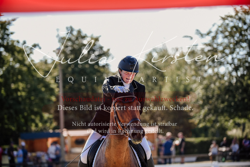 DSC_0384 | Pferde- und Turnierfotografie in Westsachsen. Pferdeportraits, Auftragszeichnungen und intuitive Kunst.