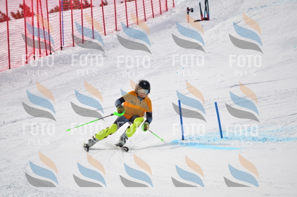 C8133 | holidayphoto